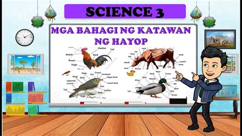 muryot in tagalog|KABURYO: Tagalog.